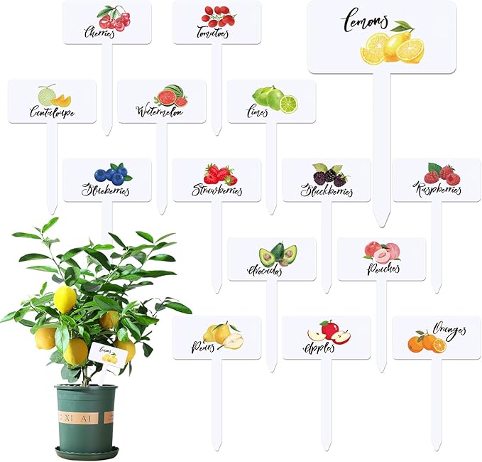 30 Pcs Acrylic Fruit Plant Labels for Outdoor Garden Waterproof Garden Markers for Plants, Fruit Seeds Name Tags for Planting 15 Styles T-Type Reusable Plant Labels for Nursery Decoration