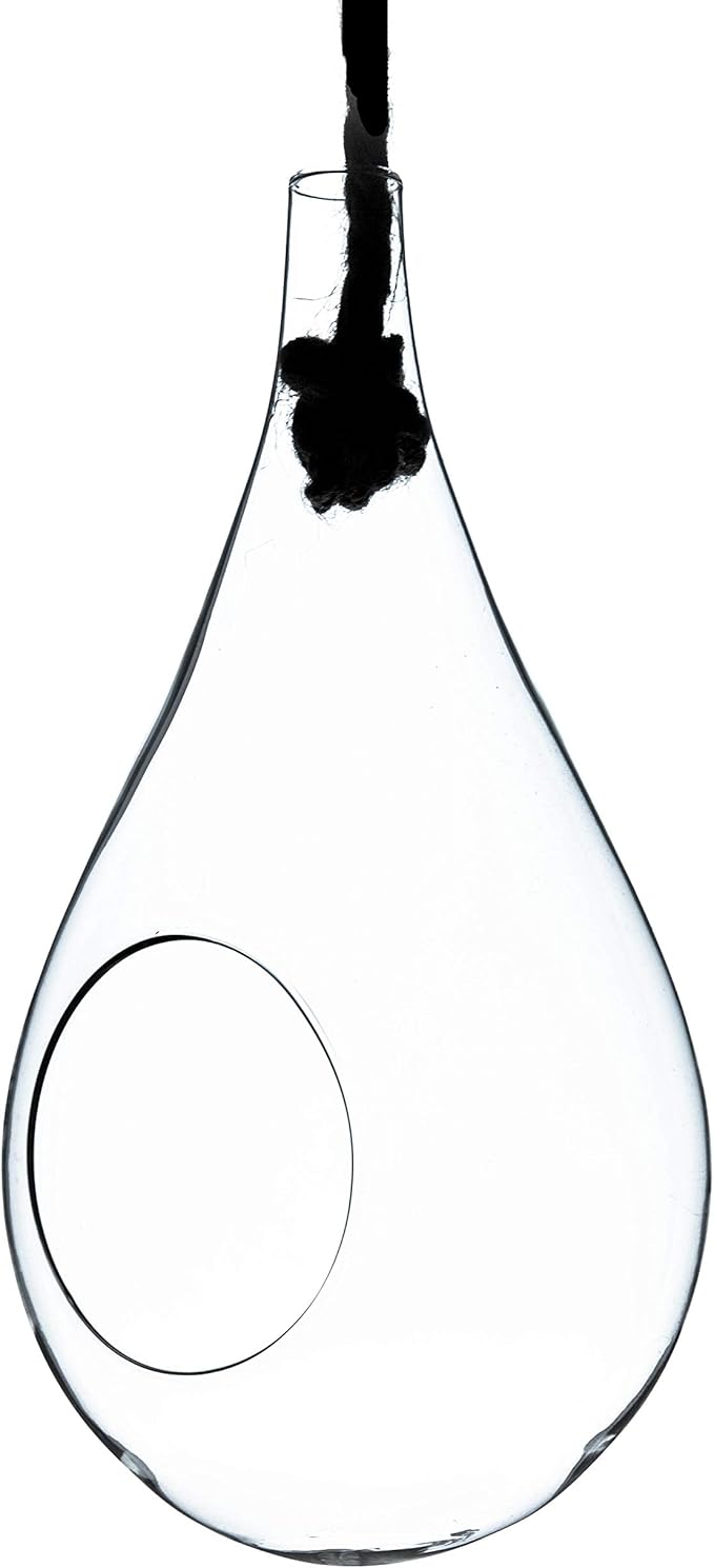 WGV Hanging Planter Terrarium Bulk, Width 5", Height 9.5", DIY Clear Glass Succulents Air Teardrop Floral Container (Including Rope), Candle Holder Vase for Outdoor Indoor Decor, 6 Pieces