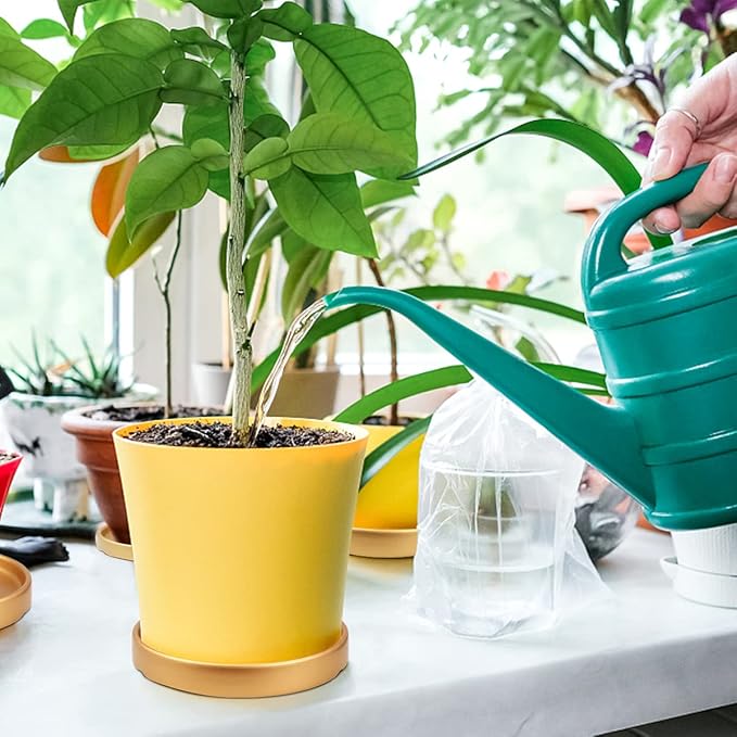 Round 4 Inch Ceramic Plant Saucer Drip Tray Set of 2 for Indoor Small Flower Pots Home Garden Outdoor Flower Plant Pot,Gold Saucers