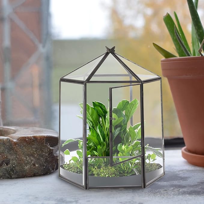 ELEGANTLIFE Glass Geometric Plant Terrarium,Succulent & Air Planter for Home Garden Office Decoration,No Plants(Black Hexagonal)