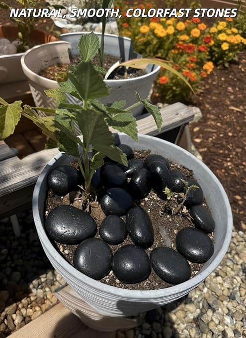18lb Black River Rocks for Plants, 1-3 Inch Pebbles for Indoor Plants, Polished Garden Rocks Outdoor Landscaping, Decorative Stones for Vases, Succulents, Aquarium, Walkways