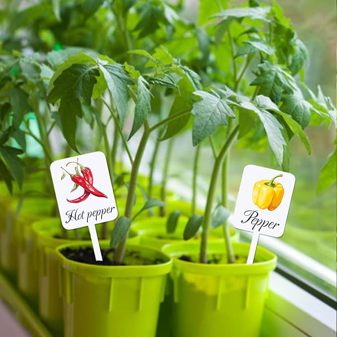 20Pcs Garden Signs for Vegetables 20 Styles Garden Markers for Vegetables Outdoor Garden Labels Markers Waterproof Reusable Plant Stakes Tags with Names for Vegetable Indoor Outdoor Decoration