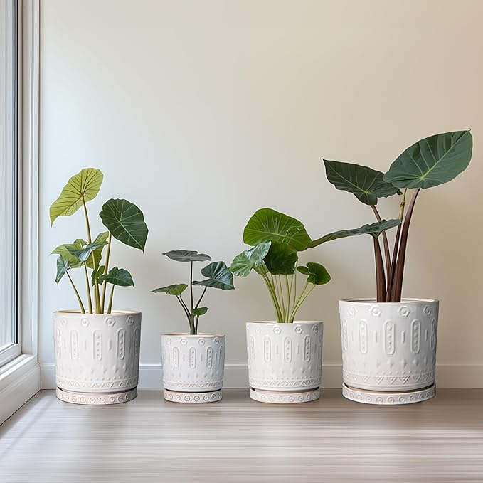 Ceramic Planter, 6 Inch Pot for Plants with Drainage Holes and Tray, Round Plant Pots for Indoor Outdoor Plants, Boho Decorative Flower Pots, Home Room Decor, Gifts for Women, White