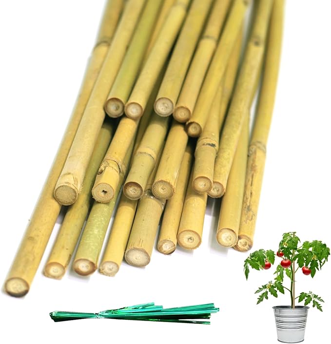 20 Pack 16/18 Inch Natural Bamboo Stakes for Plants, Thick-Wall Garden Stakes with 20 Free Green Ties - Sturdy & Treated Plant Support Sticks for Indoor/Outdoor Potted Tomatoes, Vegetables (18 Inch)