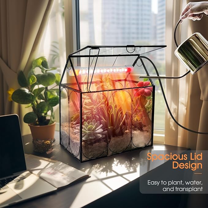 Plant Terrarium Kit with Grow Light, Rifny Small Glass Terrarium Jar with Absorbent Mat and Lid for Venus Fly Trap Succulent Live Air Plants Indoor Home Office Decor (Black, 7.1 x 4.8 x 8.8 inch)