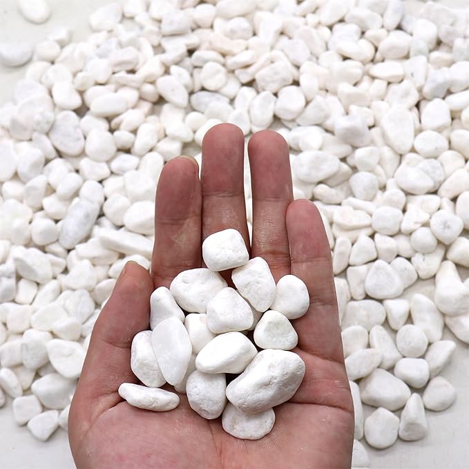 Rocks for Plants. White Decorative Pebbles. 0.5 to 1 Inch 18 lbs. for Garden, Landscaping, Indoor, Vase fillers, Crafting, Succulents, pots, Plants