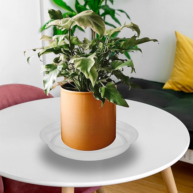 6 Pcs 6 Inch Round Plant Saucers for Less 5 Inch Pot Indoors Outdoors Plant Trays for Pots Planter Saucer Plastic Drip Tray Planter Water Tray(Clear, 6"(6pcs))