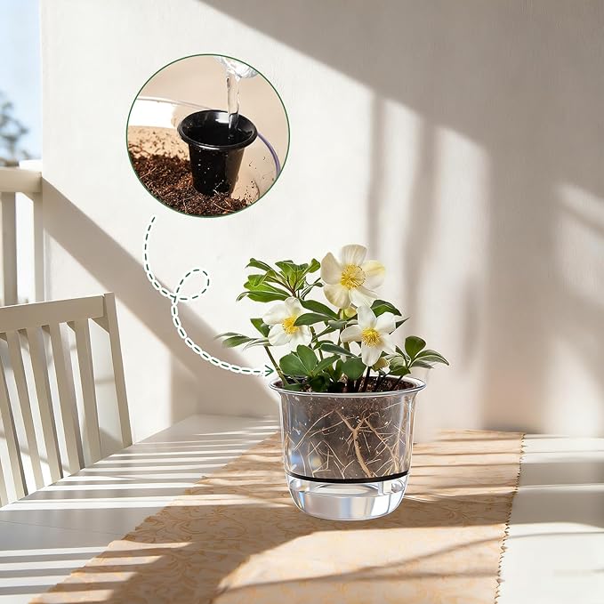 6 Pcs Clear Self Watering Pots for Indoor Outdoor Plants Flowers, 4 Inch Self Watering Planters with Reservoir, Drainage Hole and Absorbent Cotton Rope
