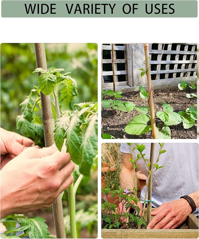 4 Ft Bamboo Stakes with 100 Twist Ties Natural Bamboo Garden Stakes for Tomatoes Cucumber Grapes Pole Beans Trees Potted Dahlia Flowers and Climbing Plants - Pack of 25