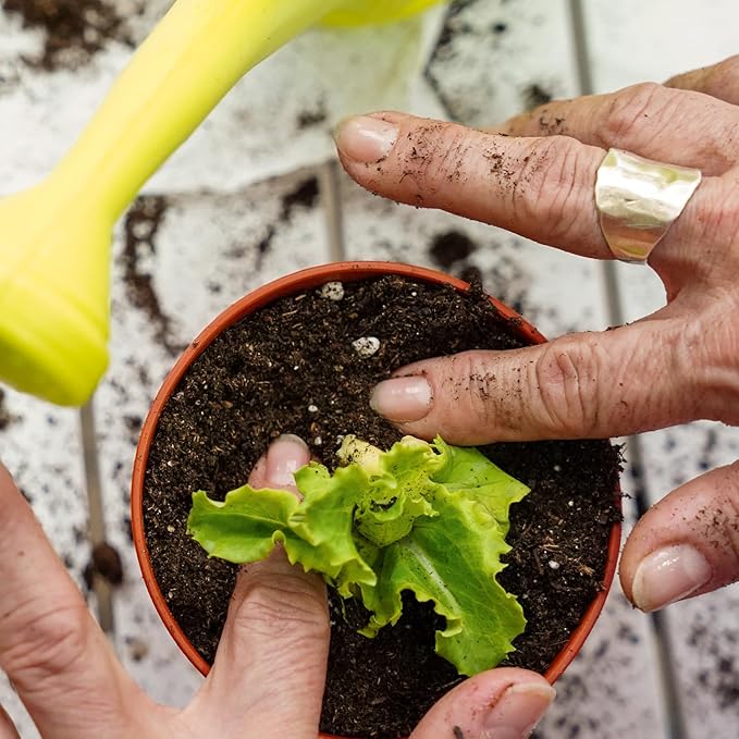 Organic Vegetable Soil Mix 1qt, Indoor Plants Potting Mix for All Potted Vegetable Like Tomatoes Lettuce Bell Peppers, Grow Healthy houseplants Indoors