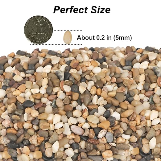 Landscaping Pebbles River Rocks Decorative Ornamental Pebbles Garden Landscaping Stones Gravel Filler for Home Decoration Flower Bed Fish Tank Plants Vases Succulents (1, Mixed Color, 1 Pound)