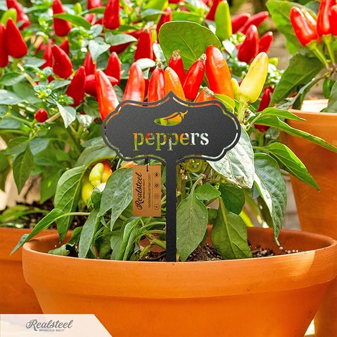 RealSteel - Seed & Plant Markers - Indoor/Outdoor Herb Garden Stakes - Elegant Fruit/Vegetable Seed Labels - Durable Plant Tags for Pots - Classy Design for Farmhouse/Greenhouse (Oregano)