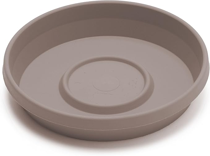 Bloem Terra Resin Saucer Tray: 6.5" Bottom Width - Pebble Stone Beige - Matte, Durable, Ribbed Bottom, Indoor and Outdoor, Fits 8" Terra Pots