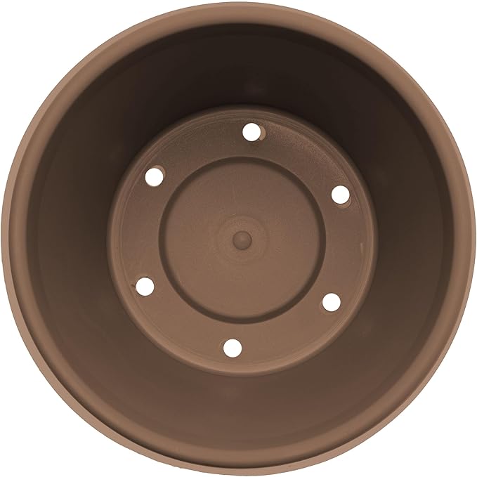 Bloem Terra 8" Round Resin Planter Pot with Drainage Holes, Indoor and Outdoor Gardening, Chocolate, Made in USA