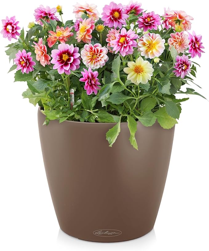 Lechuza Classico Color 43 Nutmeg, Self-Watering Round Planter, D16.5 H15.7 in