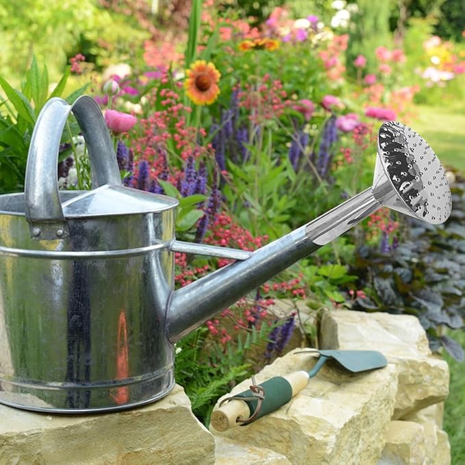 Watering can Nozzle Replacement Head 5.51X4.33X1.10 Inch Durable Watering Spout Sprinkler Head for Gentle Plant Watering Garden Accessory