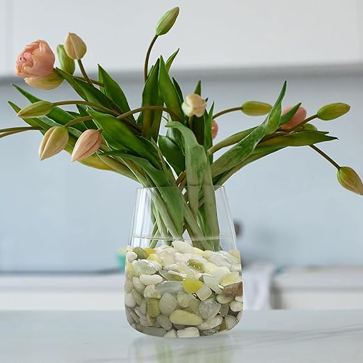 5LB Succulent Jade Pebbles for Indoor Plants, 0.7-1.2 Inch Natural Polished Stones,Decorative River Rocks for Succulent, Vase, Flowerpot, Landscaping, Outdoor Garden and Planters