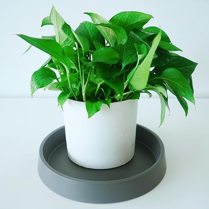 4 Pack Plant Saucer Tray for Ceramic Plastic Pots, 6 inch Plant Saucers for Indoors, Pot Saucers Trays, Flower Planter Water Drip Trays for Pots Base (6", Gray)