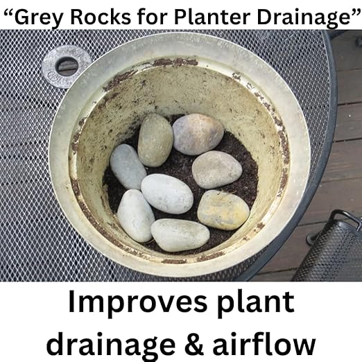 Natural Rocks for Aquarium, 5Lb Stone Terrarium, hydroponic Grow Media, Rock Garden Edging, Terrarium Rocks, Fish Tank Stones, Decorative Stones for vases, Planter Filler
