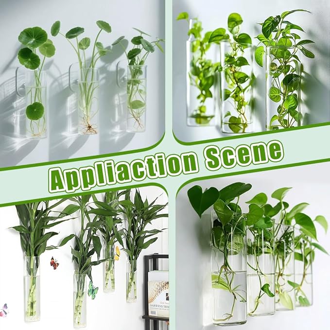 8 Sets Glass Planters, 5.9 in H x 1.87 in D Propagation Vases Tabletop Propagation Vase Tabletop Plant Decor for Growing Plants Garden Home Office Decor