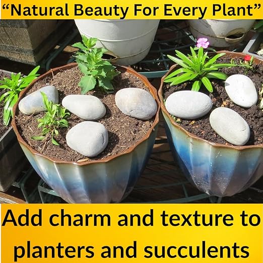 Natural Rocks for Aquarium, 5Lb Stone Terrarium, hydroponic Grow Media, Rock Garden Edging, Terrarium Rocks, Fish Tank Stones, Decorative Stones for vases, Planter Filler