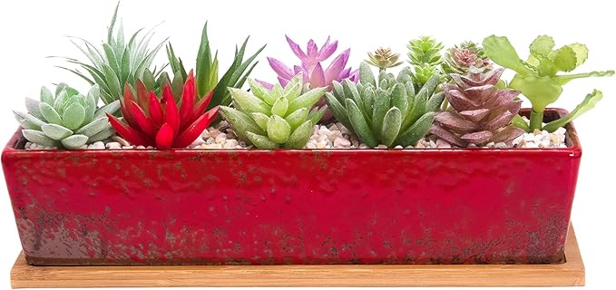 ARTKETTY Succulent Pots - Large Succulent Planter Pots with Drainage, 12 Inch Long Rectangle Bonsai Pot with Bamboo Tray Shallow Ceramic Cactus Flower Planter Window Box for Home Garden Decor (Red)
