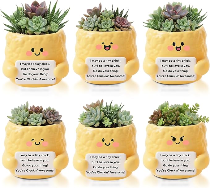 6 Pack 2.5 Inch Chicken Ceramic Succulent Planter Pots with Drainage Hole, Mini Cute Flower Pots Container for Home Office Garden Decoration Emotional Support Buddies Christmas Housewarming Gifts