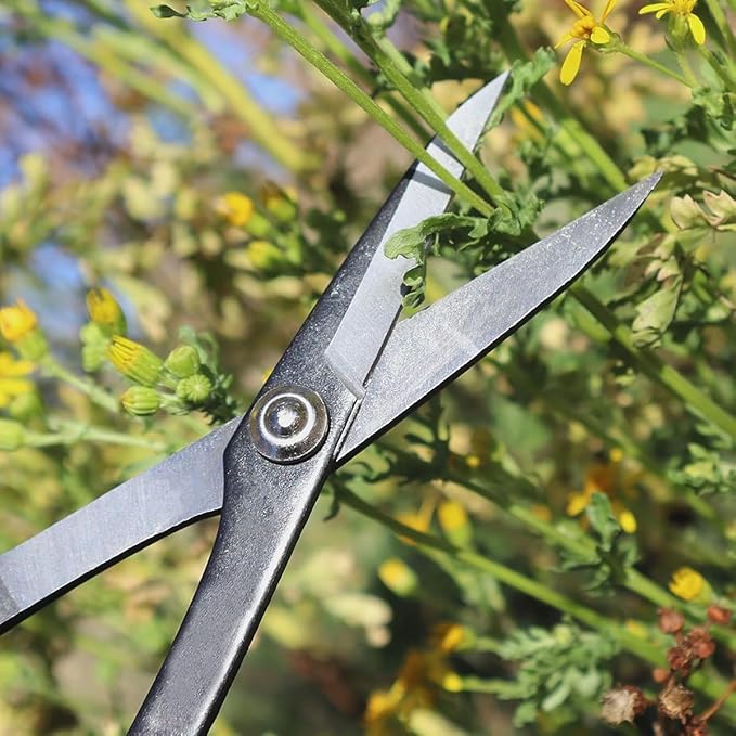Garden Scissors, Stainless Steel Garden Bonsai Pruning Shears, Anti-Slip Softgrip SnipGardening Tools Garden Shears for Plants Herb (Modern)
