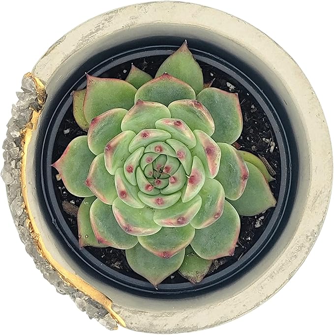 4 Inch Crystal Plant Pot with Saucer - Cement Geode Planter - Concrete Pots for Plants - Modern Succulent Pot Indoor - Unique Air Plant Holder - Candle Holder - Small Plant Home Decor (Smoky Quartz)