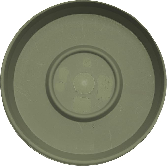 Bloem Terra Resin Saucer Tray: 8" Bottom Width - Matte, Durable, Ribbed Bottom, Indoor and Outdoor, Fits 10" Terra Pots, Living Green