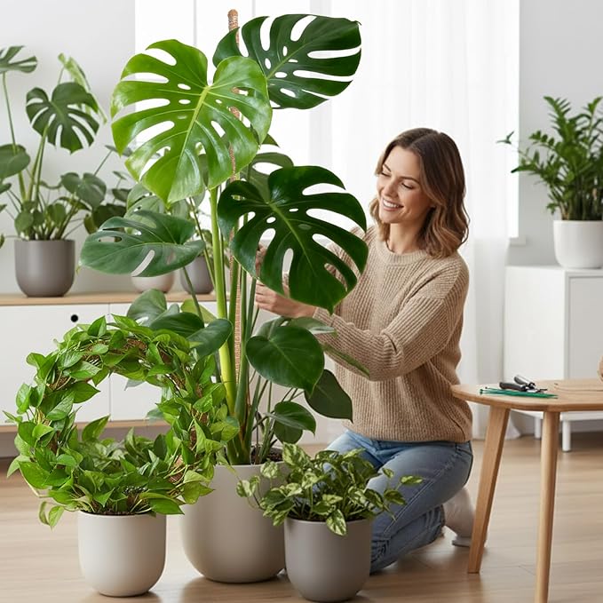 Mcbazel 2 Pack 63Inch Moss Pole for Plants Monstera, Plant Support Stick, Bendable Moss Poles Plant Support Stick for Climbing Plants, Stick Support Stake Kit for Potted Plants,Pothos,Philodendron