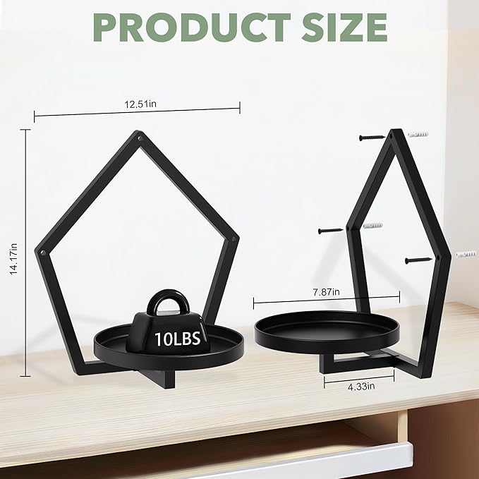 2 Packs Wall Hanging Planters for Indoor Plants, 7.9inch Metal Wall Plant Holder Hanger Wall Decor, Wall-Mounted Hanging Planters Window Plant Shelves Outdoor(Black)