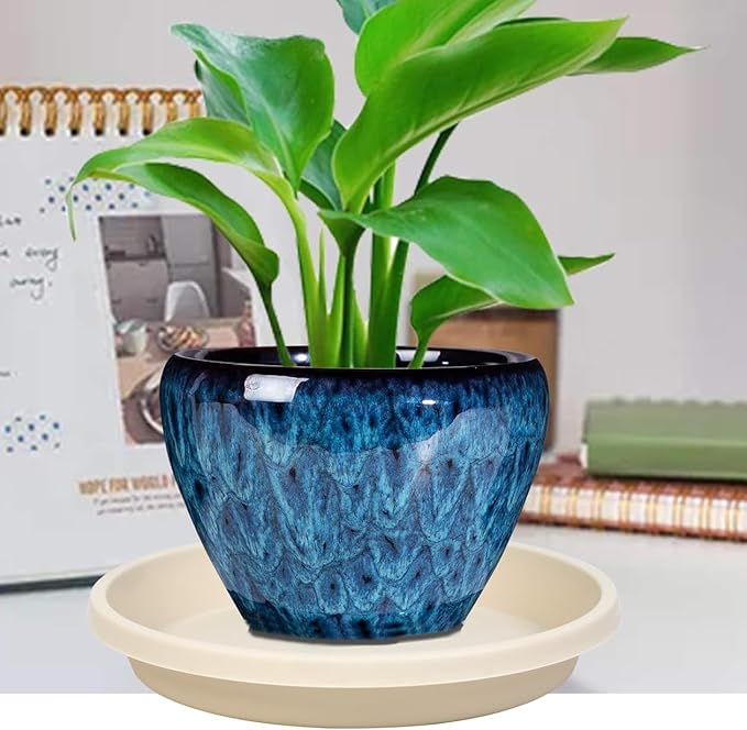 Plastic Plant Saucer Round 10 Inch 5 Pack Heavy Drip Trays for Indoor and Outdoor Plants Pots