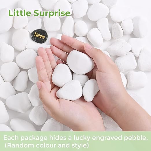SIDONG 10 lbs White River Rocks, 1.2-2 Inches Pebbles for Indoor Plants, Aquarium Rocks Used in Fish Tank, Decorative Stones for Plants, Vases, Home Décor, Crafting, Garden Landscaping