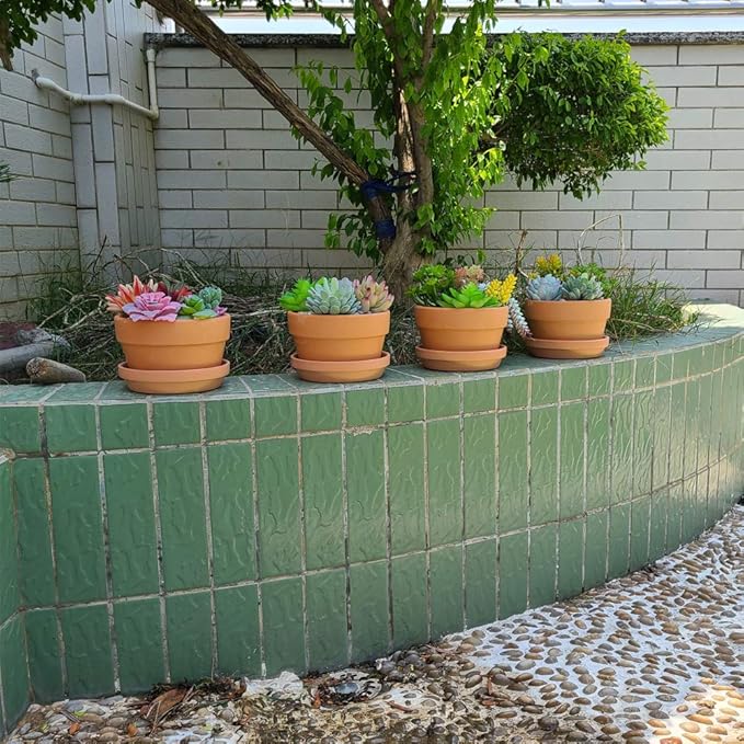 Yishang 6 Inch Terracotta Shallow Planters with Saucer/Tray,Ceramic Flower Clay Plant Pots with Drainage Hole,Unglazed Cactus/succlent Plant Containers Indoor Garden Bonsai Pots