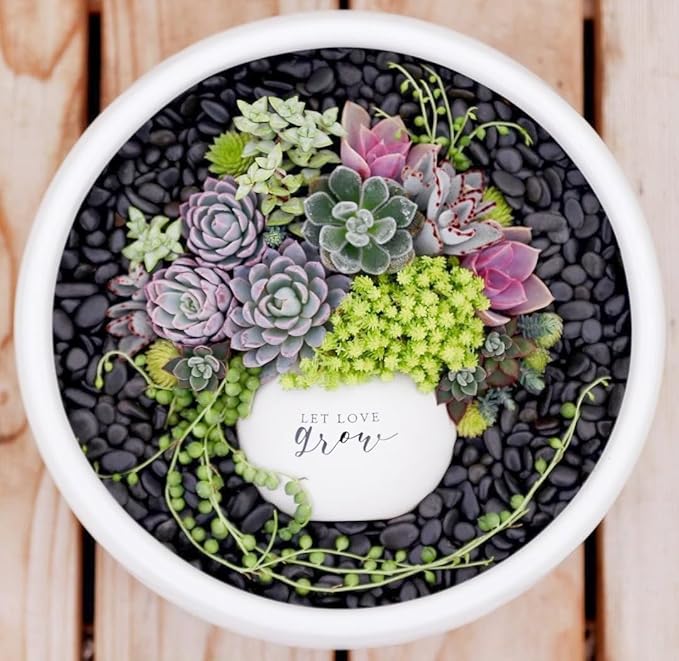 10LB Black Pebbles for Indoor Plants, Vases, Succulent, 3/8 Inch Small Black Rocks for Plants, Polished & Decorative