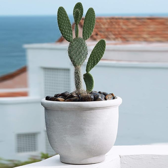 Crescent Garden Agave Planter, Classic Lightweight Resin Planter - UV-Resistant Flower Pots - Indoor & Outdoor Pot for Flowers, Houseplant, Herbs, 14" W x 11" H (Caviar Black)
