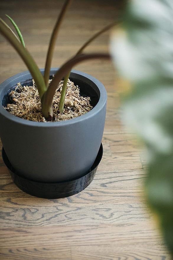 Curtis Wagner Plastics Drip Pan Plant Saucers (5-Pack) - Terracota, Round (Diameter: 5" Base, 6" Top, 1.25" Depth) Thin Plastic Planter to be Used as Indoor Pot & for Outdoor Plant Pots