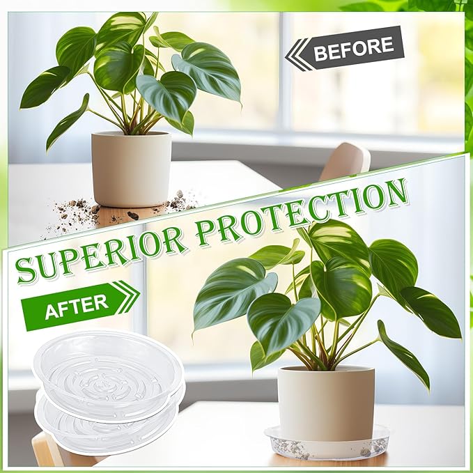 Thyle 200 Pack Clear Plastic Plant Saucer 8 Inch Plant Drip Tray Bulk Plant Water Catcher Tray Flower Pot Drip Trays Round Plant Drainage Tray for Indoor Planters Outdoor Garden Spring Supplies