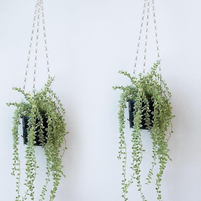 Hotop 8 Pcs Metal Hanging Chains with Ceiling Hooks, Garden Plant Hangers for Hanging Bird Feeders, Billboards, Chalkboards, Basket, Planters, Lanterns, Wind Chimes, Chain Hook DIY(12 Inch,White)