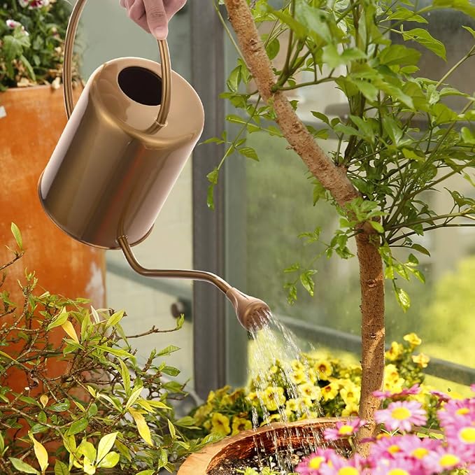 Yowo 1/2 Gallon 68oz Long Spout Stainless Steel Gold Colored Watering Can for Indoor Plant Watering or Outdoor Gardening with 2 Removable Spray Spout for Flowers, Medium