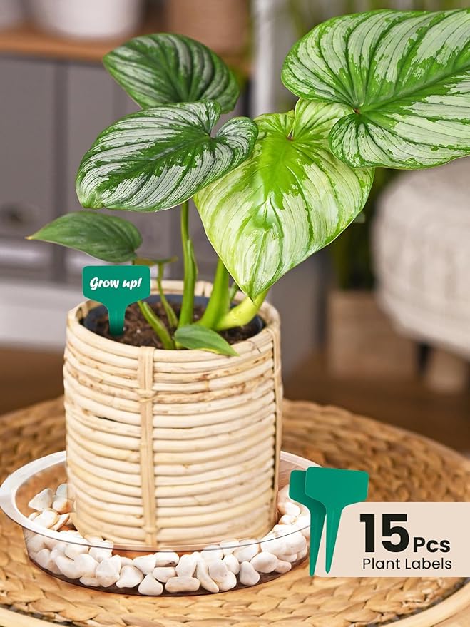 GROWNEER 15 Packs 12 Inches Clear Plant Saucers Flower Pot Trays, with 15 Pcs Plant Labels, Plastic Plant Saucer Drip Trays for Indoor Outdoor Plants Garden