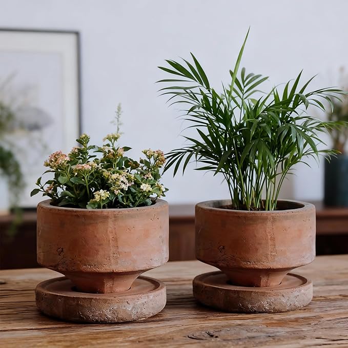 Yungyan 2 Set 6 Inch Rustic Terracotta Plant Pot with Drainage Saucer Vintage Breathable Clay Planter Farmhouse Flower Pot with Distressed Finish for Flowers Succulent Cactus Modern Home Garden Decor