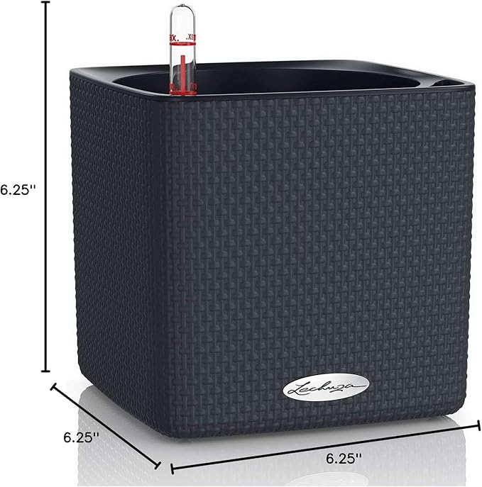 Lechuza Cube Color 16 Slate, Self-Watering Indoor Small Plant Pot, H6.3 L6.7 W6.7 in