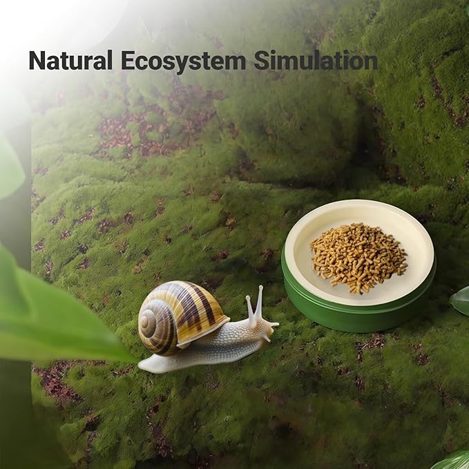 2 Pack Snail Water and Food Bowl，atural Design Food Bowl for Pet Snails, Garden Snails Pet Land Snail Terrarium Supplies