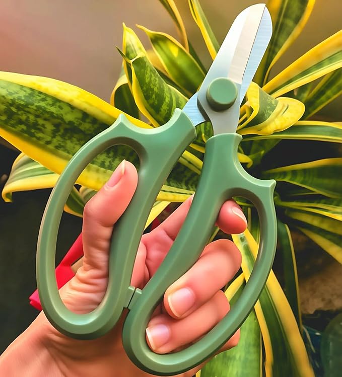 Garden Pruning Shears Scissors with Comfort Grip Handle, Premium Steel Professional Floral Scissors, Perfect for Arranging Flowers, Pruning, Trimming Plants, Gardening Tool (4PC Mix color)