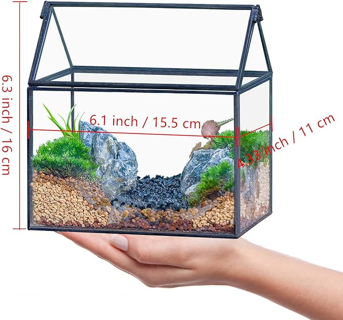 NCYP Small Glass Terrarium with Lid for Plant Succulent - 6.1 X 4.33 X 6.3 Inches - House Shape Flower Pot, Garden Tabletop Decor Planter, Geometric Centerpiece, Black (No Plants)