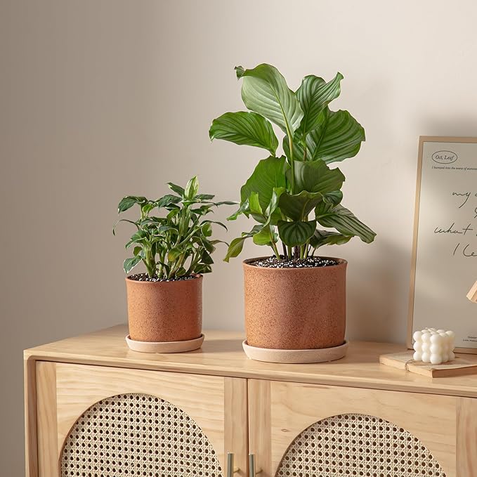 8 Inch Plant Pot: Ceramic Planter with Drainage Hole & Saucer - Flowerpot for Indoor & Outdoor Plants with Separate Tray for Home & Office - Terracotta