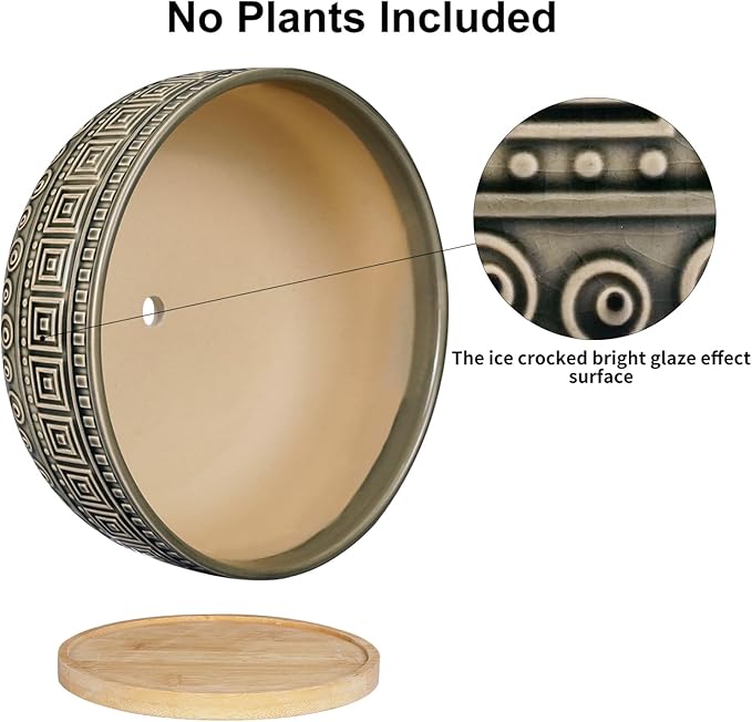 G EPGardening 8 Inch Ceramic Succulent Planter Pots Round Shallow Bonsai Planter Pot for Indoor Plants with Drainage and Bamboo Saucer Gray