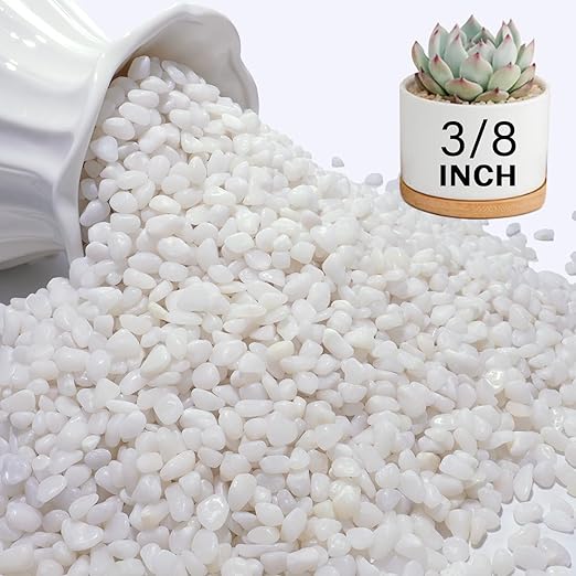 NUPICK 6 lbs Pebbles for Indoor Plants, 3/8 Inch Pea Gravel for Fish Tank, Polished Decorative Rocks for Succulent, Natural River Stones for Vases, Cactus, Landscaping, Bird Bath, Aquarium, White